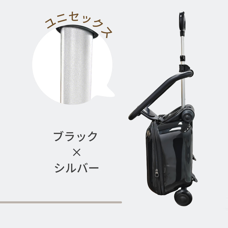 ブラックとシルバーのカラー