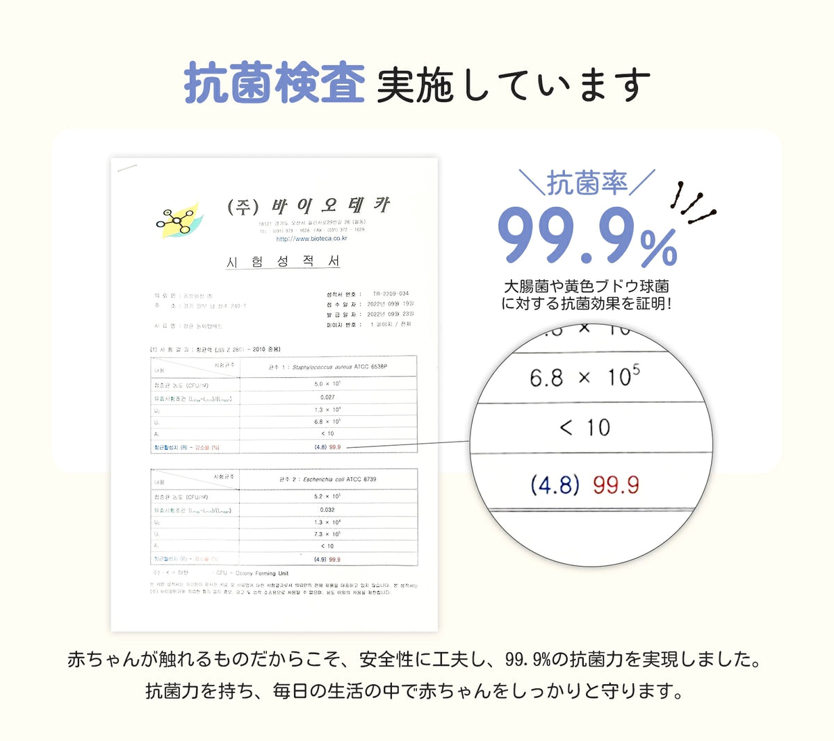 抗菌検査結果の説明